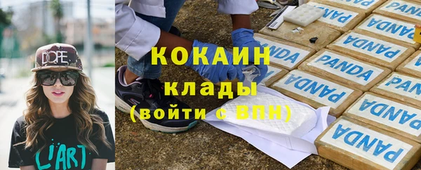 амф Алзамай