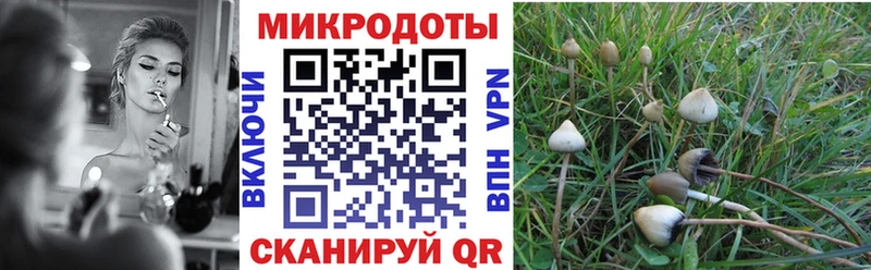 Галлюциногенные грибы MAGIC MUSHROOMS  как найти закладки  Долгопрудный 